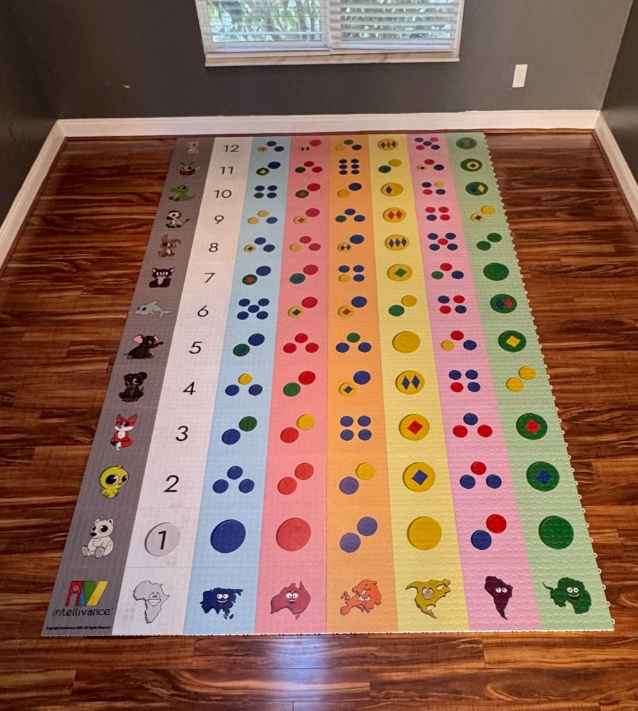 PrimeSense | Pattern Learning for Children Ages 6-12 | Intellivance
